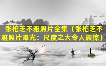 张柏芝不雅照片全集（张柏芝不雅照片曝光：尺度之大令人震惊）