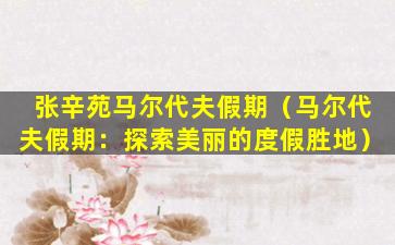 张辛苑马尔代夫假期（马尔代夫假期：探索美丽的度假胜地）