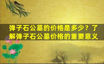 弹子石公墓的价格是多少？了解弹子石公墓价格的重要意义