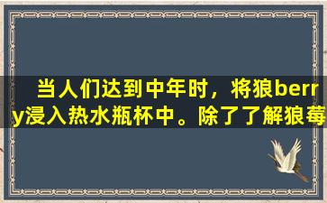 当人们达到中年时，将狼berry浸入热水瓶杯中。除了了解狼莓外，医疗保健人员还需要了解Rehmannia皮肤。