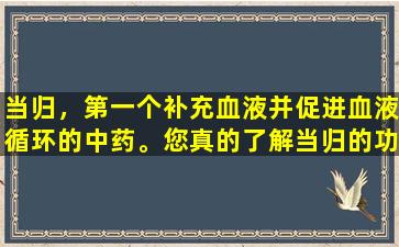 当归，第一个补充血液并促进血液循环的中药。您真的了解当归的功效和功能吗？