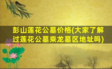 彭山莲花公墓价格(大家了解过莲花公墓乘龙墓区地址吗)