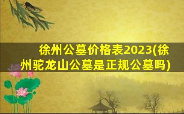 徐州公墓价格表2023(徐州驼龙山公墓是正规公墓吗)