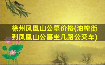徐州凤凰山公墓价格(油榨街到凤凰山公墓坐几路公交车)
