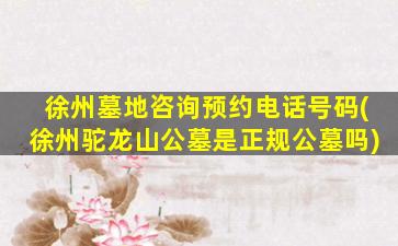 徐州墓地咨询预约电话号码(徐州驼龙山公墓是正规公墓吗)