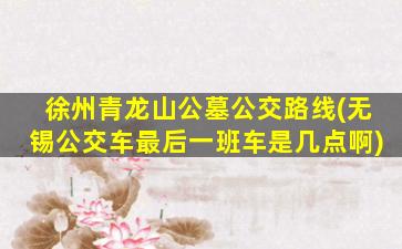 徐州青龙山公墓公交路线(无锡公交车最后一班车是几点啊)