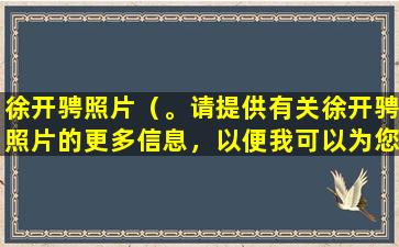徐开骋照片（。请提供有关徐开骋照片的更多信息，以便我可以为您提供帮助。）