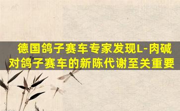 德国鸽子赛车专家发现L-肉碱对鸽子赛车的新陈代谢至关重要