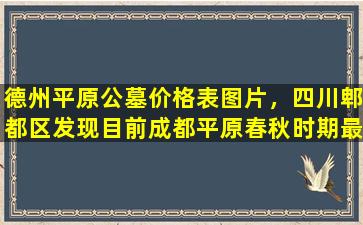 德州平原公墓价格表图片，四川郫都区发现目前成都平原春秋时期最大规模墓地