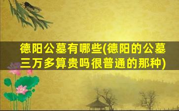 德阳公墓有哪些(德阳的公墓三万多算贵吗很普通的那种)