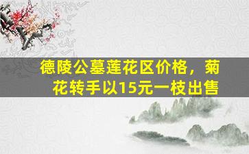 德陵公墓莲花区价格，菊花转手以15元一枝出售