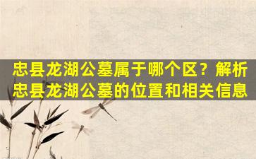 忠县龙湖公墓属于哪个区？解析忠县龙湖公墓的位置和相关信息