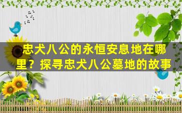 忠犬八公的永恒安息地在哪里？探寻忠犬八公墓地的故事