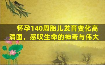 怀孕140周胎儿发育变化高清图，感叹生命的神奇与伟大