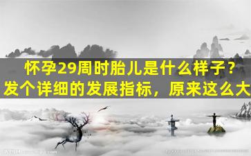 怀孕29周时胎儿是什么样子？发个详细的发展指标，原来这么大