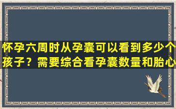 怀孕六周时从孕囊可以看到多少个孩子？需要综合看孕囊数量和胎心率