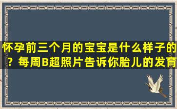 怀孕前三个月的宝宝是什么样子的？每周B超照片告诉你胎儿的发育情况。它既自然又可爱。