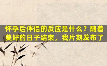 怀孕后伴侣的反应是什么？随着美好的日子结束，我片刻发布了