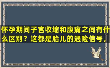 怀孕期间子宫收缩和腹痛之间有什么区别？这都是胎儿的遇险信号，不要认真对待