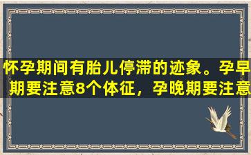 怀孕期间有胎儿停滞的迹象。孕早期要注意8个体征，孕晚期要注意4个体征。