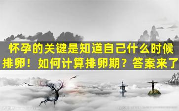 怀孕的关键是知道自己什么时候排卵！如何计算排卵期？答案来了