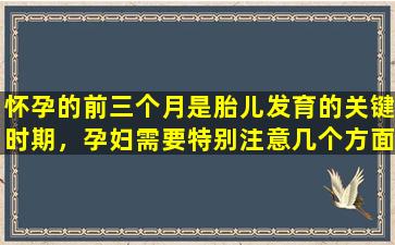 怀孕的前三个月是胎儿发育的关键时期，孕妇需要特别注意几个方面