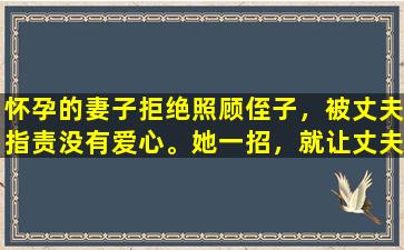 怀孕的妻子拒绝照顾侄子，被丈夫指责没有爱心。她一招，就让丈夫求饶。
