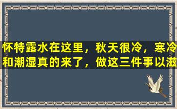 怀特露水在这里，秋天很冷，寒冷和潮湿真的来了，做这三件事以滋养小太阳