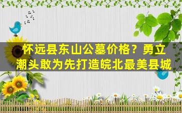 怀远县东山公墓价格？勇立潮头敢为先打造皖北最美县城