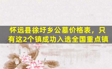 怀远县徐圩乡公墓价格表，只有这2个镇成功入选全国重点镇