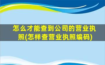怎么才能查到公司的营业执照(怎样查营业执照编码)