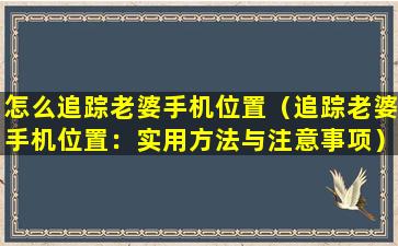 怎么追踪老婆手机位置（追踪老婆手机位置：实用方法与注意事项）