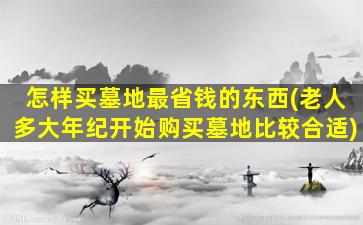 怎样买墓地最省钱的东西(老人多大年纪开始购买墓地比较合适)