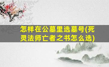 怎样在公墓里选墓号(死灵法师亡者之书怎么选)