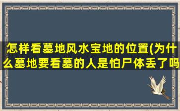 怎样看墓地风水宝地的位置(为什么墓地要看墓的人是怕尸体丢了吗)