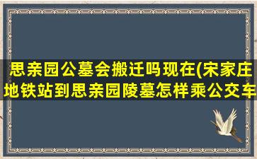 思亲园公墓会搬迁吗现在(宋家庄地铁站到思亲园陵墓怎样乘公交车)