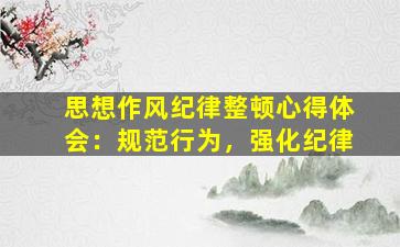 思想作风纪律整顿心得体会：规范行为，强化纪律