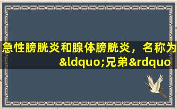急性膀胱炎和腺体膀胱炎，名称为“兄弟”，但实际上是“两个家庭”