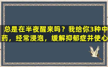 总是在半夜醒来吗？我给你3种中药，经常浸泡，缓解抑郁症并使心灵平静并帮助睡眠