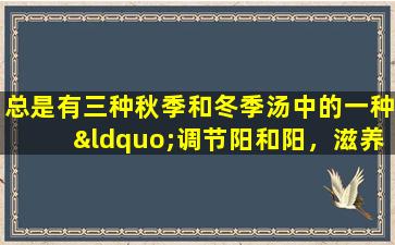 总是有三种秋季和冬季汤中的一种“调节阳和阳，滋养气”和血都适合您
