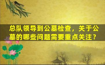 总队领导到公墓检查，关于公墓的哪些问题需要重点关注？