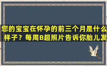您的宝宝在怀孕的前三个月是什么样子？每周B超照片告诉你胎儿发育情况。它既自然又可爱。