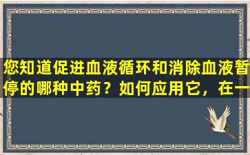 您知道促进血液循环和消除血液暂停的哪种中药？如何应用它，在一篇文章中理解它