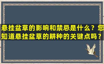 悬挂盆草的影响和禁忌是什么？您知道悬挂盆草的耕种的关键点吗？