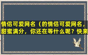 情侣可爱网名（的情侣可爱网名，甜蜜满分，你还在等什么呢？快来查看吧！）
