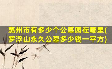 惠州市有多少个公墓园在哪里(罗浮山永久公墓多少钱一平方)