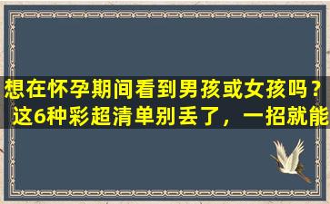 想在怀孕期间看到男孩或女孩吗？这6种彩超清单别丢了，一招就能看到结果