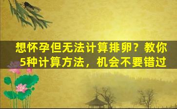 想怀孕但无法计算排卵？教你5种计算方法，机会不要错过