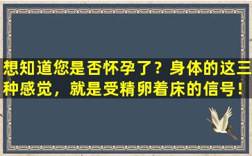 想知道您是否怀孕了？身体的这三种感觉，就是受精卵着床的信号！