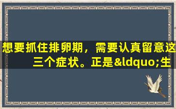 想要抓住排卵期，需要认真留意这三个症状。正是“生娃”的好时机